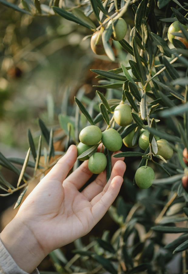 Intentional ingredients