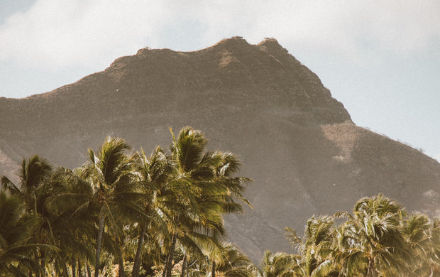 <strong>Found in Hawaii</strong>